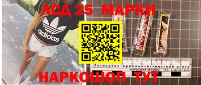 гидропоника Кунгур