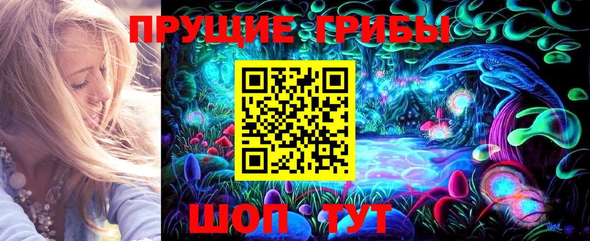 Шатура  Псилоцибиновые грибы Cubensis  закладки  Вход с VPN 